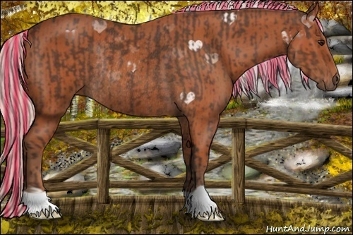 Horse Color:Painted Silver Brown Rabicano  and Silver Bay Rabicano 