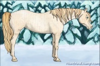Horse Color:Buckskin Roan Pearl  and Buckskin Roan Pearl Frame 