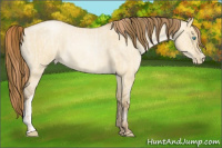 Horse Color:Buckskin Roan Pearl Dun  and Gray Buckskin Roan Pearl Dun 