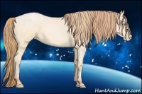 Horse Color:Buckskin Roan Pearl and Buckskin Roan Pearl