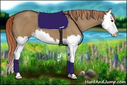 Horse Color:Red Dun Splash 