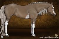 Horse Color:White Spotted Silver Brown Dun Sabino 