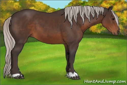 Horse Color:Silver Brown 