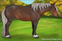 Horse Color:Silver Brown 