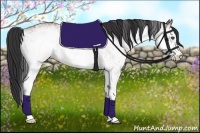 Horse Color:White Spotted Bay 