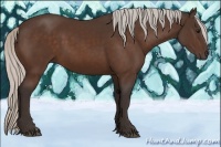 Horse Color:Silver Brown 