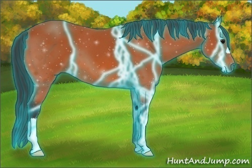 Horse Color:Thunderstruck Bay 