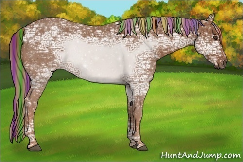 Horse Color:Painted Chestnut Ice Rabicano