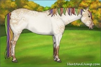 Horse Color:Painted Red Dun Ice 