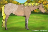 Horse Color:Painted Silver Buckskin Ice Rabicano