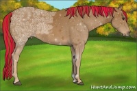 Horse Color:Painted Chestnut Ice