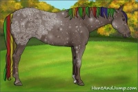 Horse Color:Painted Liver Chestnut Ice