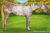 Horse Color:Painted Chestnut Ice Rabicano