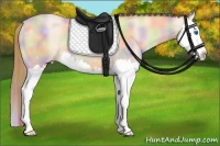 Horse Color:Nacre Buckskin Pearl Splash 