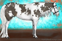 Horse Color:White Spotted Liver Chestnut Splash 