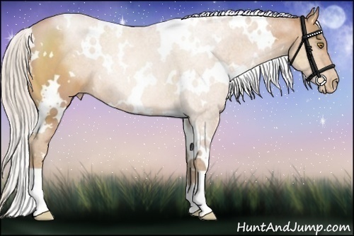 Horse Color:White Spotted Silver Bay Pearl 