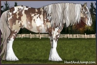 Horse Color:Chocolate Palomino Roan Pearl Sabino  and White Spotted Silver Brown 