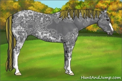 Horse Color:Painted Blue Ice Roan 