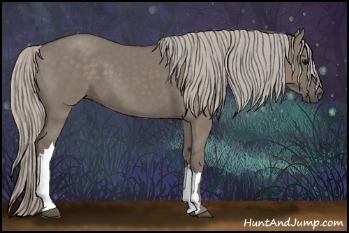 Horse Color:Silver Grullo 