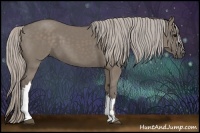 Horse Color:Silver Grullo 