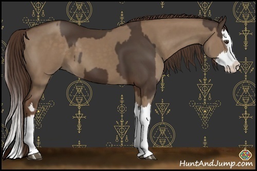 Horse Color:Liver Chestnut Splash and Liver Red Dun Splash
