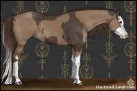 Horse Color:Liver Chestnut Splash  and Liver Red Dun Splash 