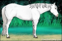 Horse Color:Chocolate Palomino Tobiano Snowflake Varnish 