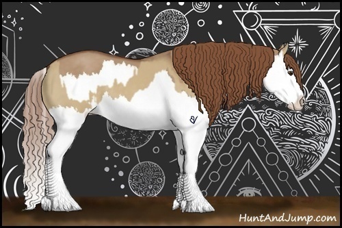 Horse Color:Red Dun Splash and Red Dun Splash