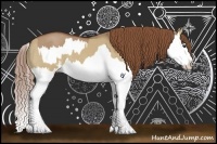 Horse Color:Red Dun Splash  and Red Dun Splash 