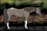 Horse Color:Grullo Blanket
