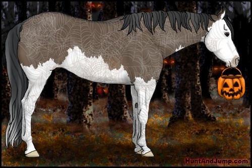 Horse Color:Brown Dun Splash 