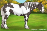 Horse Color:White Spotted Silver Black Frame 