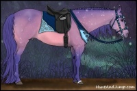 Horse Color:Watercolor Bay 