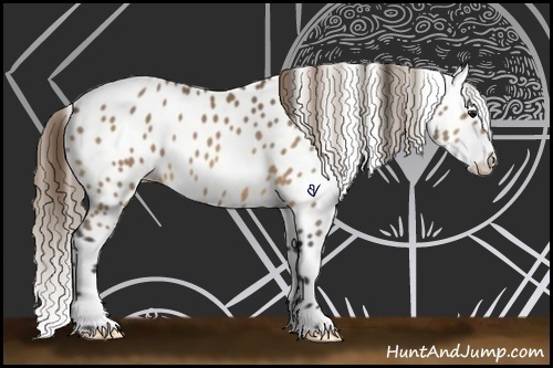 Horse Color:Buckskin Leopard