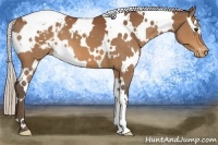 Horse Color:White Spotted Silver Bay Varnish