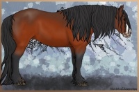 Horse Color:Brown Splash Frame Rabicano