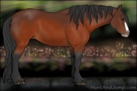 Horse Color:Brown Splash Frame Rabicano 