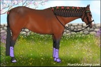 Horse Color:Brown Splash Frame Rabicano