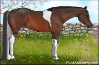 Horse Color:Bay Tobiano 