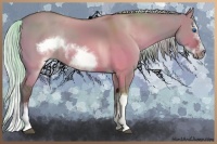 Horse Color:Silver Brown Dun Splash Frame Rabicano 
