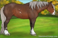 Horse Color:Silver Brown Sabino 