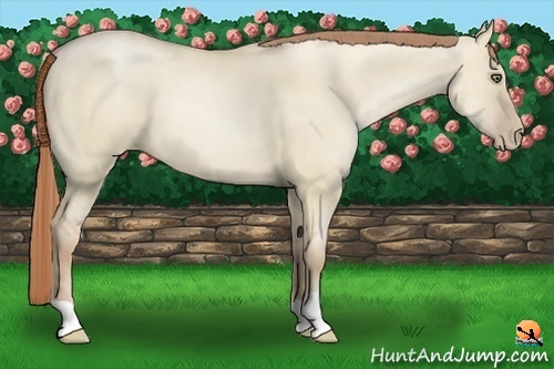 Horse Color:Smoky Grullo Pearl 