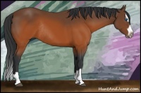 Horse Color:Brown Splash Frame Rabicano