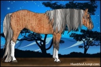 Horse Color:Bay  and Silver Bay 