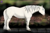 Horse Color:Cremello Dun Splash  and Cremello Dun Splash 