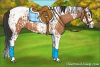 Horse Color:Bay Splash Tobiano Blanket  and Bay Splash Tobiano 