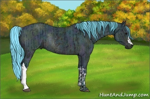 Horse Color:Watercolor Midnight Brown Ice Rabicano  and Watercolor Midnight Brown Ice Rabicano 