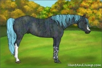 Horse Color:Watercolor Midnight Brown Ice Rabicano  and Watercolor Midnight Brown Ice Rabicano 