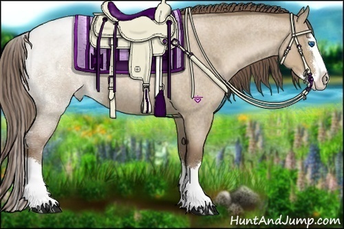 Horse Color:Grullo Roan Pearl Sabino Splash Appaloosa 