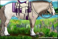 Horse Color:Grullo Roan Pearl Sabino Splash Appaloosa 